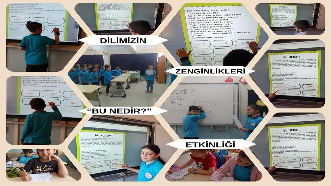 Dilimizin Zenginlikleri Projesi-Mısra Ezberleme-Bu Nedir? Etkinliğimiz