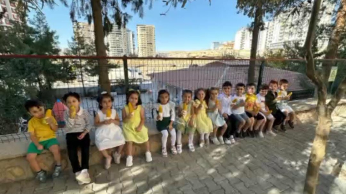 MISIR HAŞLAMA ETKİNLİĞİ